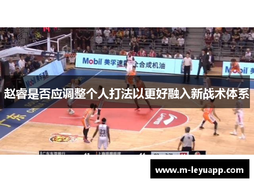 赵睿是否应调整个人打法以更好融入新战术体系