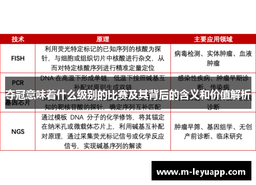 夺冠意味着什么级别的比赛及其背后的含义和价值解析