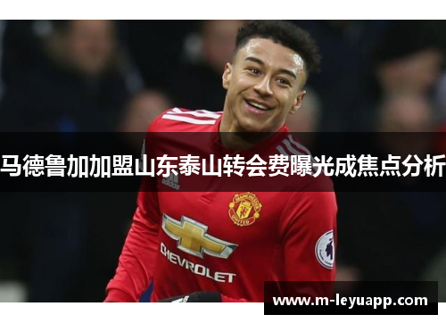 马德鲁加加盟山东泰山转会费曝光成焦点分析