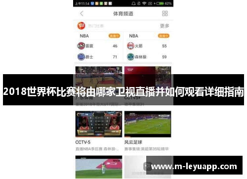 2018世界杯比赛将由哪家卫视直播并如何观看详细指南