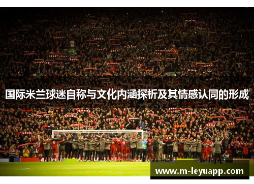 国际米兰球迷自称与文化内涵探析及其情感认同的形成