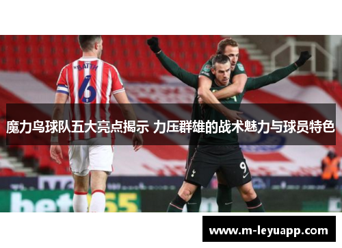 魔力鸟球队五大亮点揭示 力压群雄的战术魅力与球员特色
