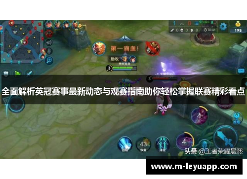 全面解析英冠赛事最新动态与观赛指南助你轻松掌握联赛精彩看点